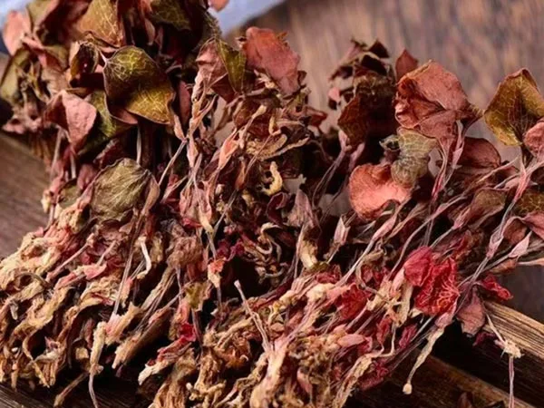 Супер оценет сушен Anoectochilus Roxburghii пристигнува на специјализирани маркети